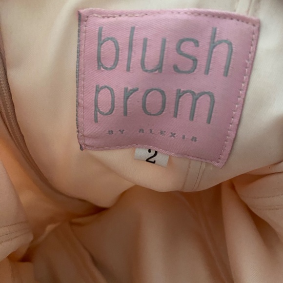 Blush prom dress - Picture 4 of 4